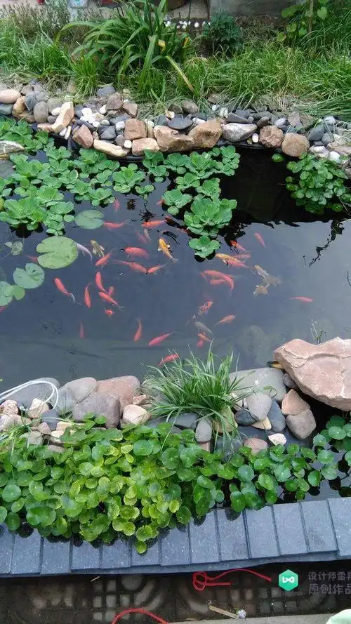 庭院鱼池都有哪些样式?六十五张实景照片设计案例,活泼又生动