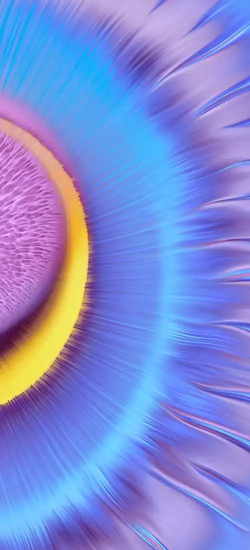 huawei mate40 系列手机壁纸