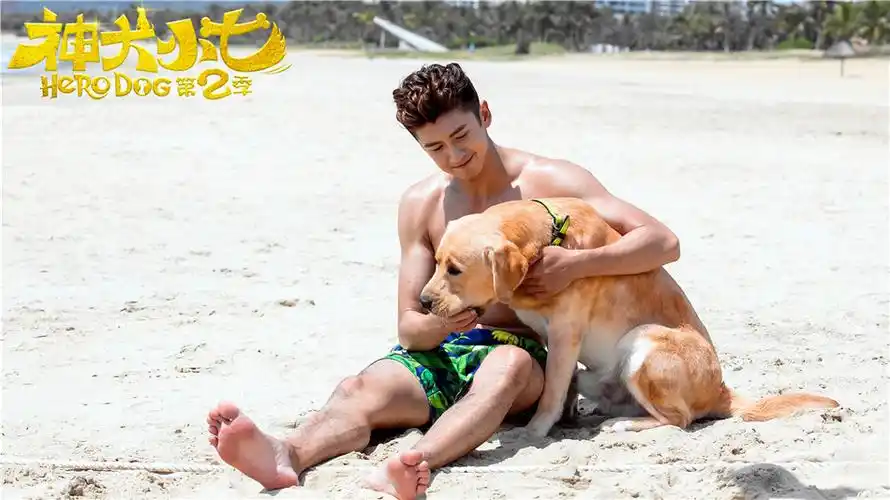 张云龙《神犬小七第二季》用微笑虏获粉丝心