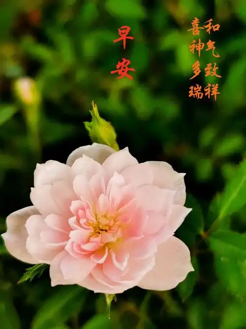 祝福伴您度过2020年,2021年一切美好将如期而至