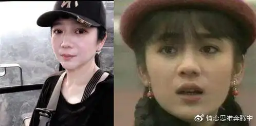 为林瑞阳放弃事业却被张庭插足婚姻今曾哲贞的报复真解恨