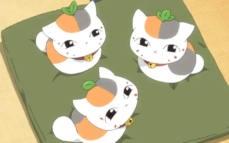 [夏目友人帐]三等分的猫咪老师!可爱