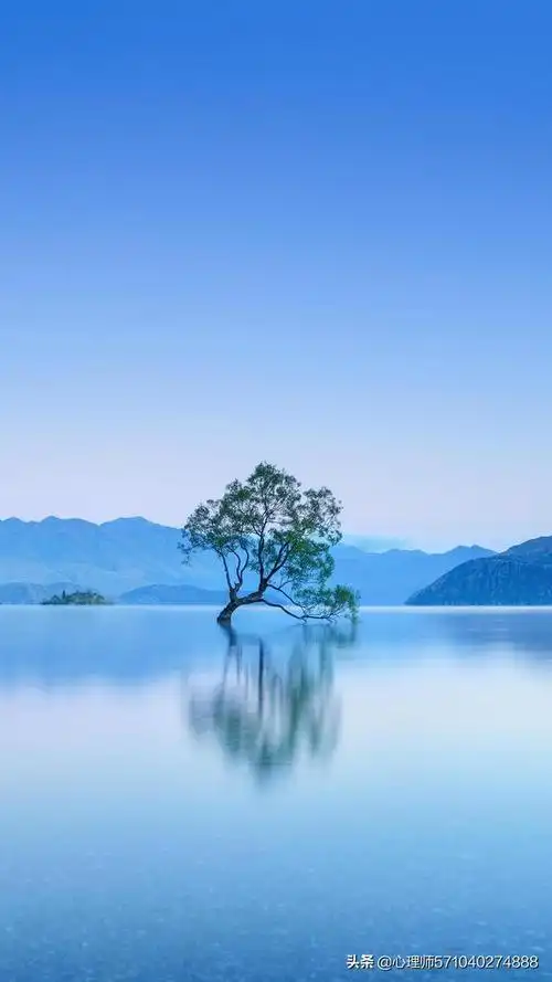 上镜头天蓝色衣服和粉色哪个好看