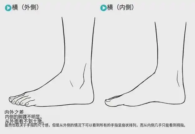 可乐教育绘画萌新如何画脚教你各种角度的画法技巧