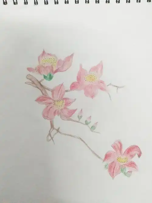 画一幅木棉花,留住我们的小美好