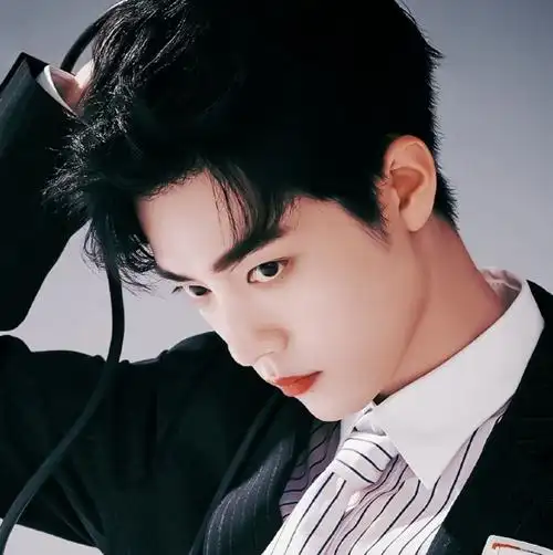 宋意欢出单肖战头像素材