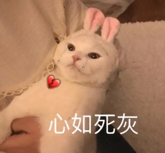 心如死灰喵星人表情包一起来吸猫猫咪表情