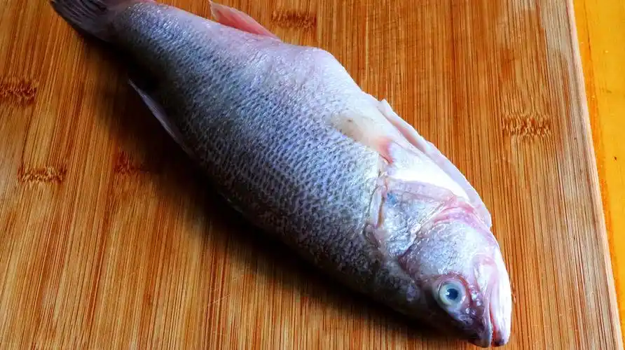 精选鱼肉做法,总有一款适合你!