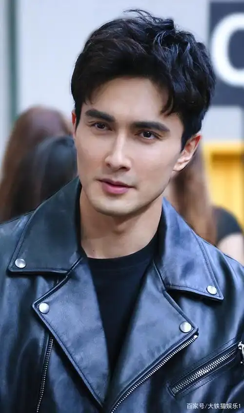 黑土地出美男子,12位东北籍男星,个个浓眉大眼,帅得各有千秋