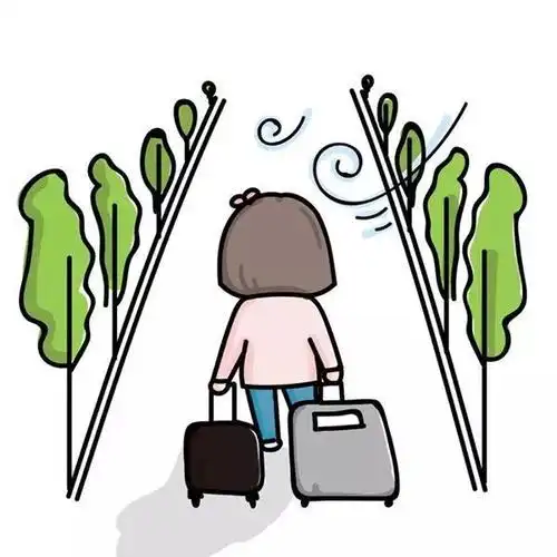 考试都是低空飘过 从来没有挂科 当我拖着行李箱走出校园的那一刻 我