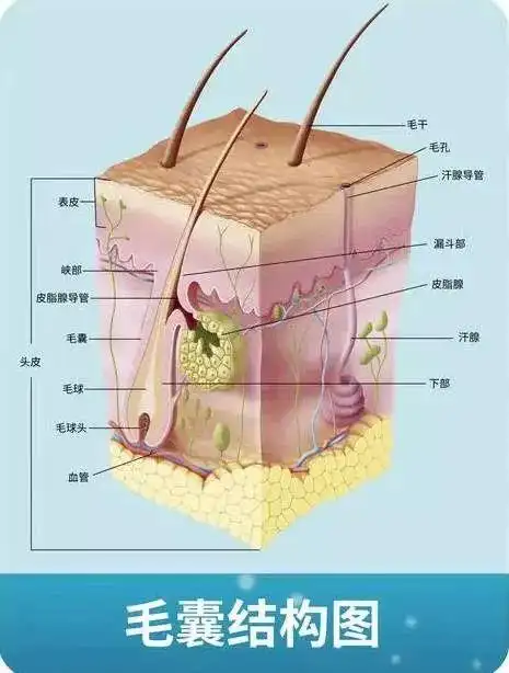 家用脱毛仪究竟是通过什么方法脱毛的真的有效吗ulike脱毛仪体验