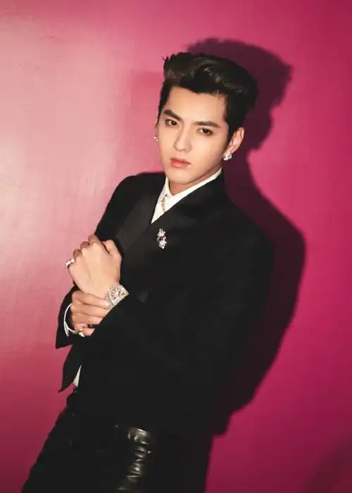 宝格丽与全球品牌代言人吴亦凡@mr_凡先生一起进入#barocko巴洛克