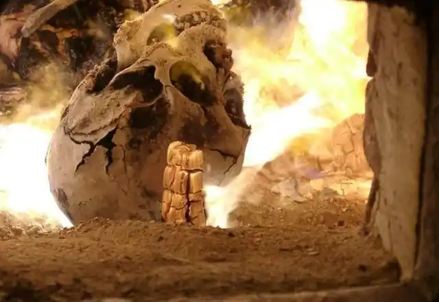 火化能直接将人烧成骨灰吗?实际上还有流程,只是没人敢告诉家属