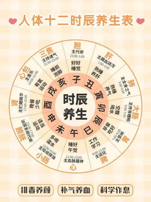 十二时辰养生24小时作息对照表