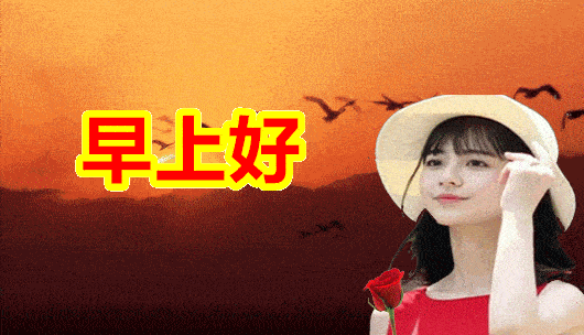 4张美女早上好动态表情图片带字推荐 温馨的早安图片带字带祝福语_手