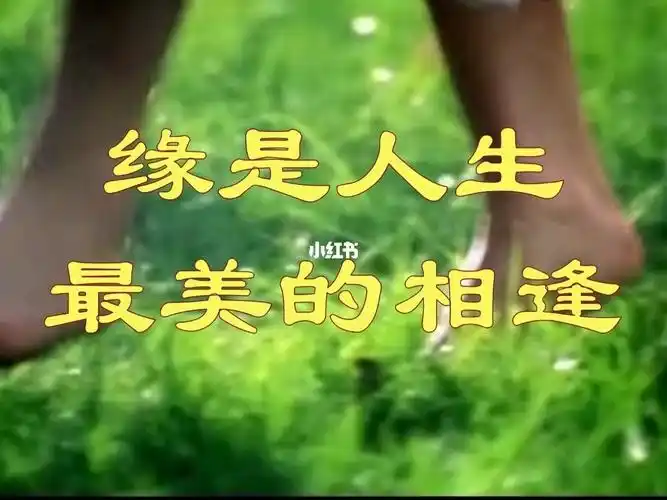 散文欣赏缘是人生最好的相遇