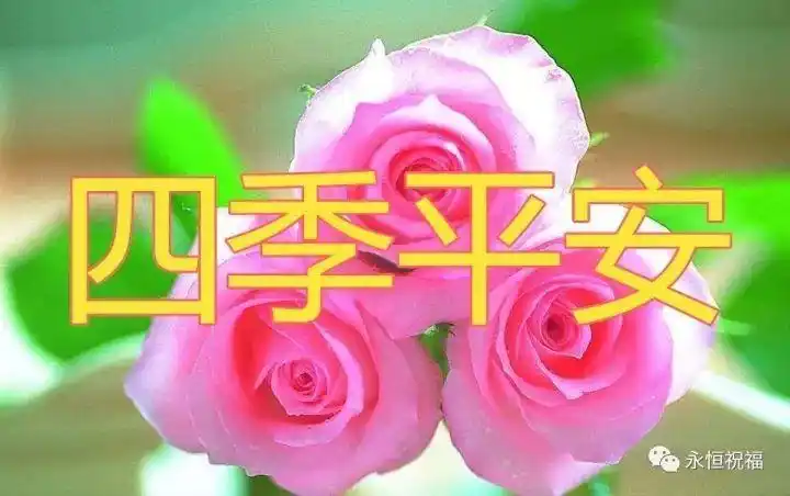 今天是平安吉祥日一首祝你平安送给你打开一生平安