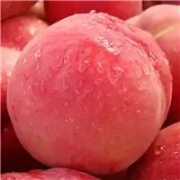 桃子头像图片大全唯美清新的水果桃子头像图片