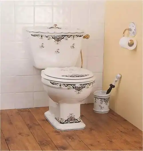 马桶设计成这样还能好好方便么网友有钱人的世界真心不懂