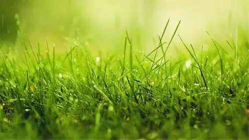 电脑桌面图片唯美(82张护眼电脑桌面壁纸)