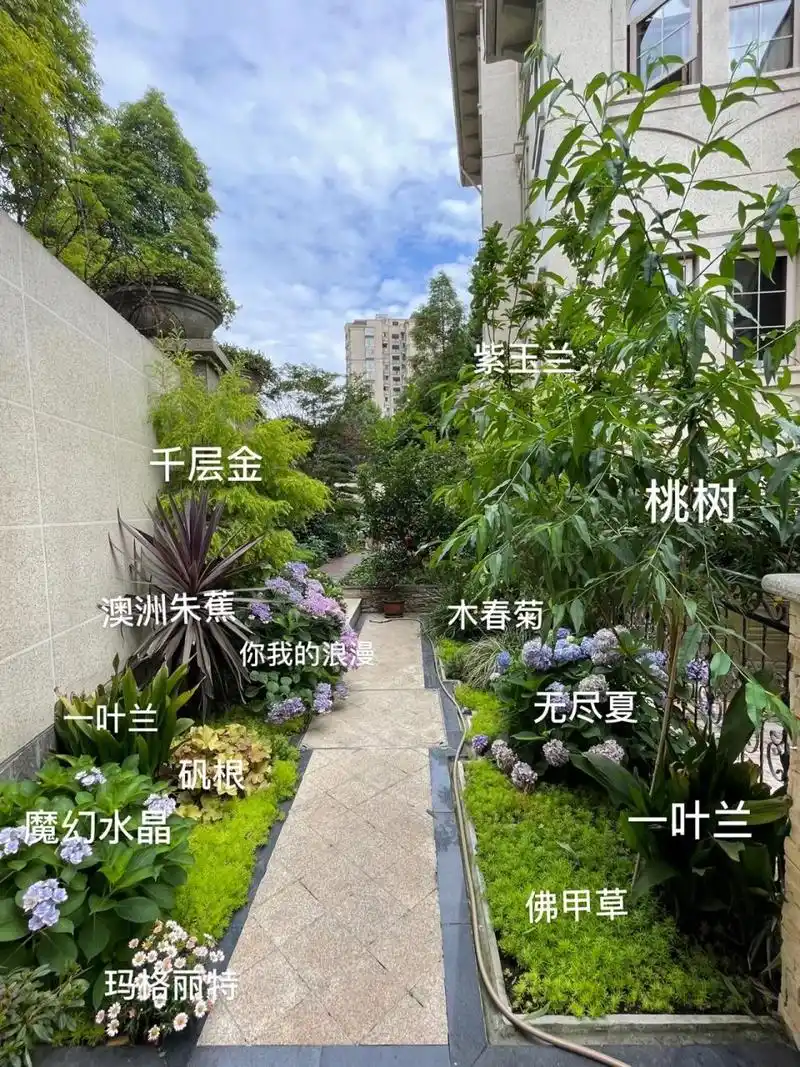 花园设计92|超全花园植物搭配分享95 菜地和花园的结合9802