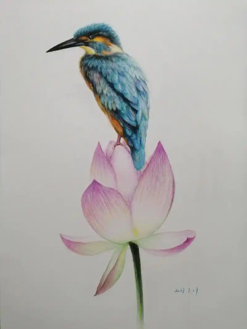 彩铅画翠鸟.#画画 #彩铅 #手绘 #花鸟 #彩铅绘画 - 抖音