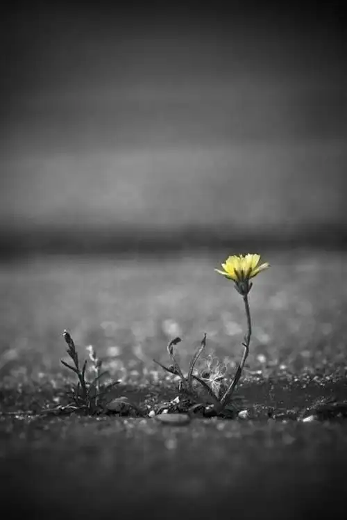 灰色系壁纸-堆糖,美好生活研究所