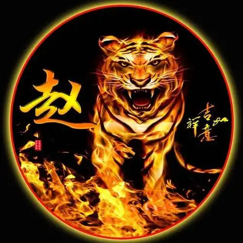要不要考虑换个微信头像呢,霸气火焰虎,给你带来姓氏微信头像