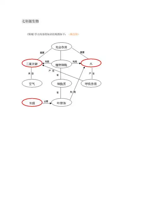 光合作用概念图2