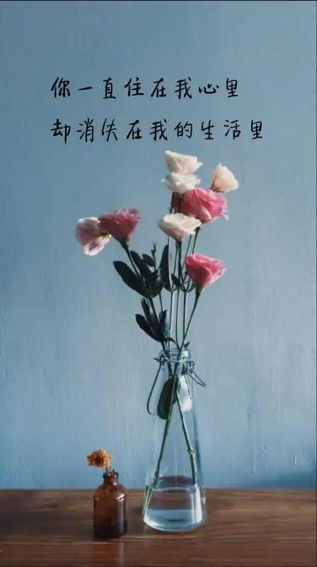 伤感说说愿在我最美的时光遇见最美好的你