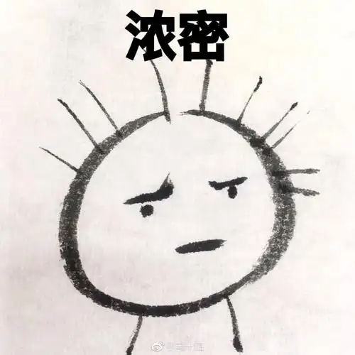 今天,你的发际线得到拯救了吗?