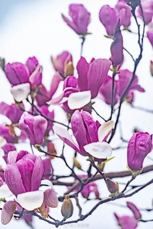 690_1034竖版 竖屏