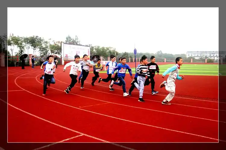 养贤小学第三届田径运动会图片报道(三)
