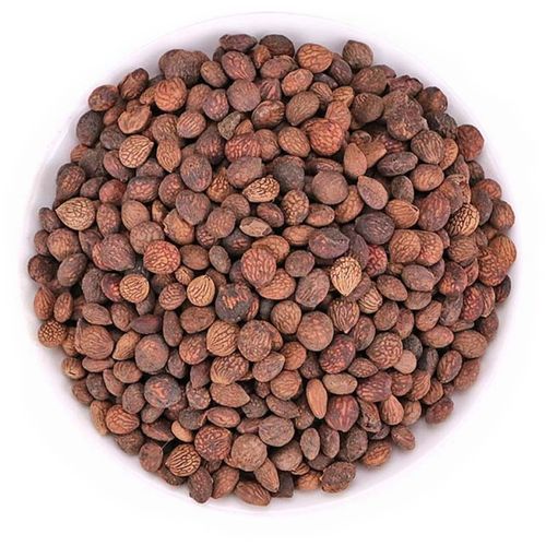 北京同仁堂野生中药材 芮仁500g 蕤仁 蕤仁肉 别名蕤核 蕤子肉 棫仁