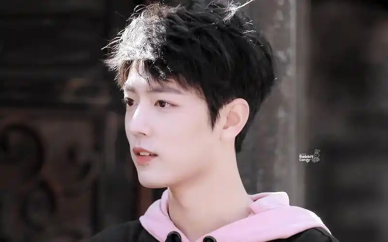 向全世界安利小鲜肉肖战,高清壁纸图片,大陆明星-回车桌面