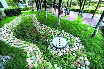 打造雨水花园 青岛这个小区成为全省节水"标兵"