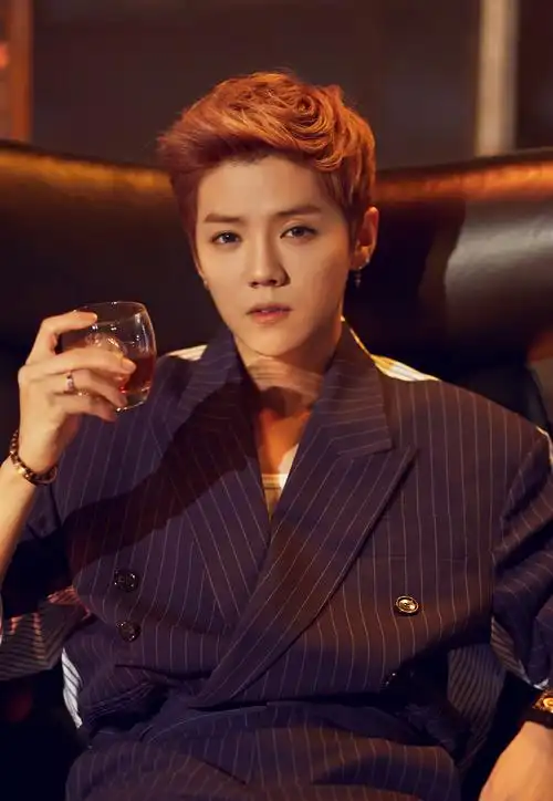 2017搜狐时尚盛典年度人气男明星提名:鹿晗