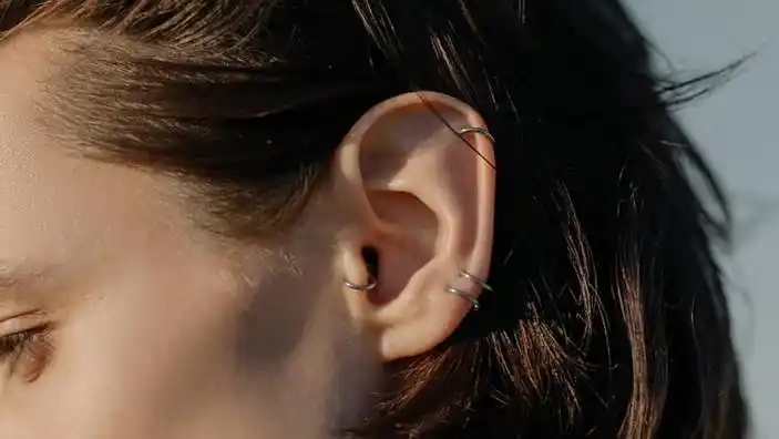 没有耳垂的人真的难聚财吗