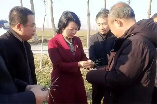 2月20日,邢台市任泽区委书记杨蕾先后到农管委,西固城镇,永福庄乡