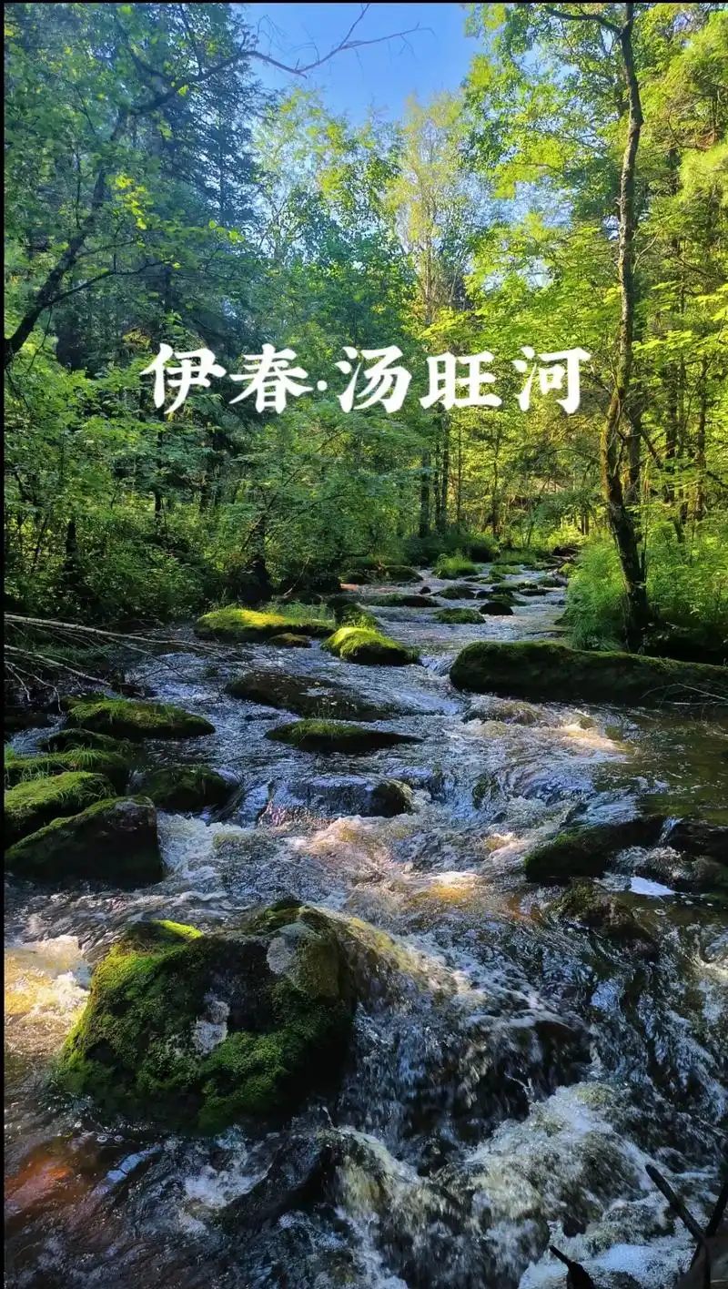 伊春|汤旺河一林海奇石景区.汤旺河奇石风景区,黑龙江的国家级 - 抖音