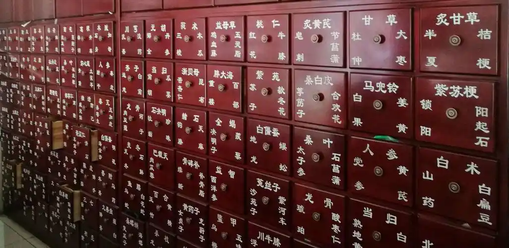 陪伴,让岁月多了一份朴实