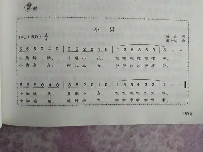 九九花园幼儿园小班音乐《小脚》