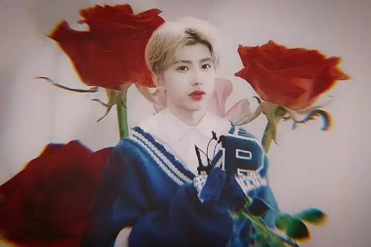 蔡徐坤/红玫瑰. - 堆糖,美图壁纸兴趣社区