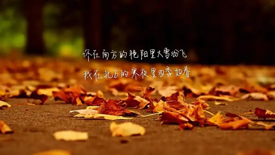 南山南歌词非主流文字图片_高清壁纸_壁纸下载_美桌网