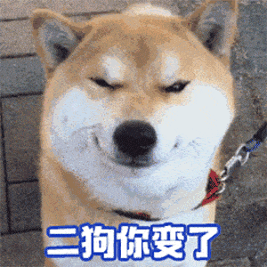 钥匙小狗起什么名字搞笑小狗名字逗比搞笑小狗的名字沙雕搞笑小狗的