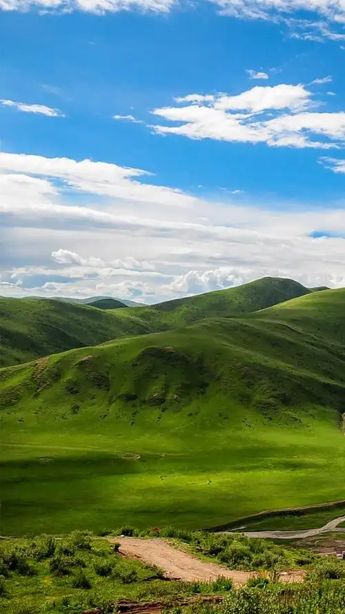 蓝天白云高原草地手机壁纸