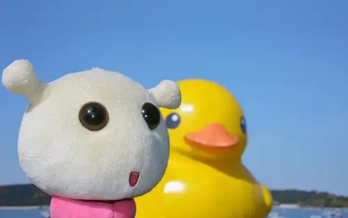 毛绒蜗弟公仔摄影壁纸高清