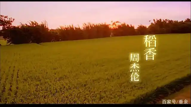 《稻香》:你们有多久没有听到虫鸣鸟叫的声音呢