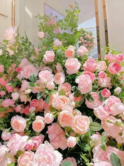 ins风鲜花背景图 壁纸-各种素材大全(已完结)-话本小说网