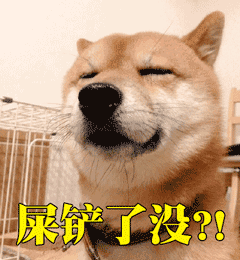 柴犬表情包动态图 第一弹